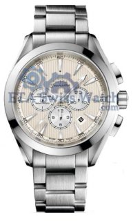 Omega Aqua Terra 150m HAU 231.10.44.50.09.001