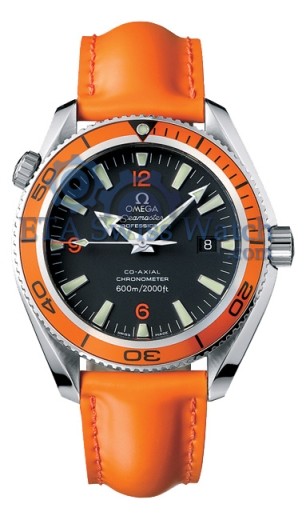 Omega Planet Ocean 2909.50.83 - Click Image to Close