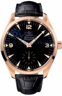 Omega Railmaster 221.53.49.10.01.001